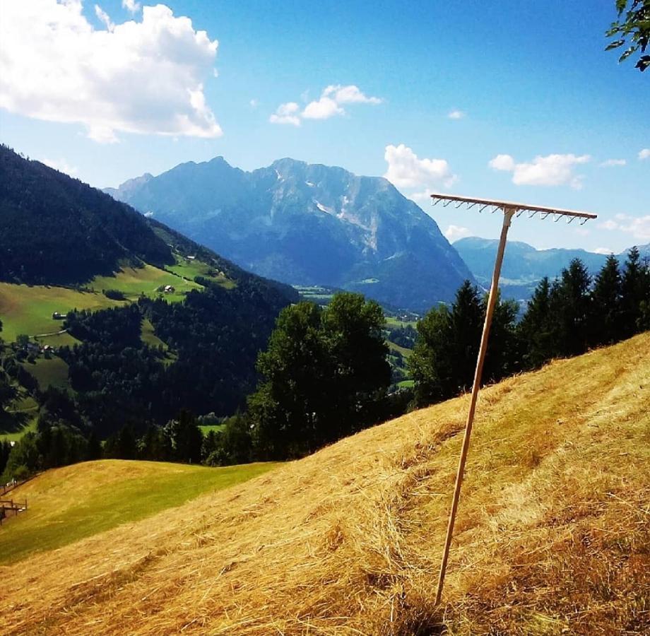 Bergblick Hollnhof Daire Donnersbach Dış mekan fotoğraf
