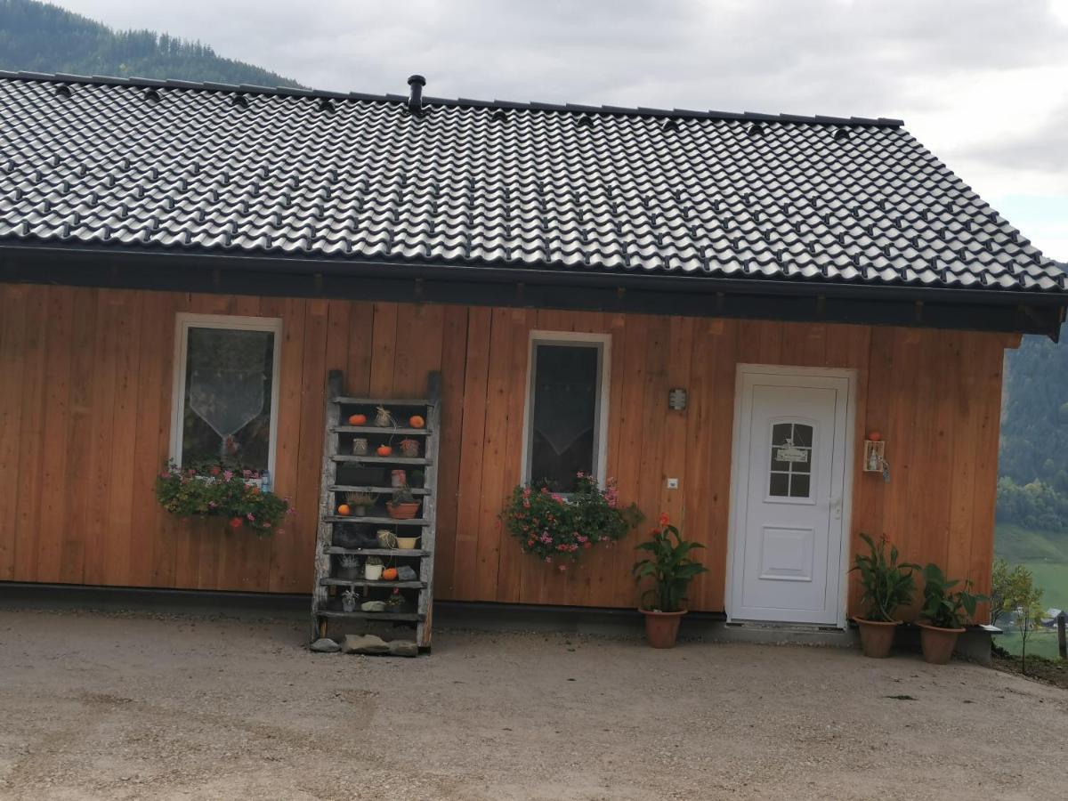 Bergblick Hollnhof Daire Donnersbach Dış mekan fotoğraf